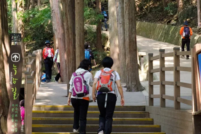 Wooded walking path at Busan Children’s Grand Park