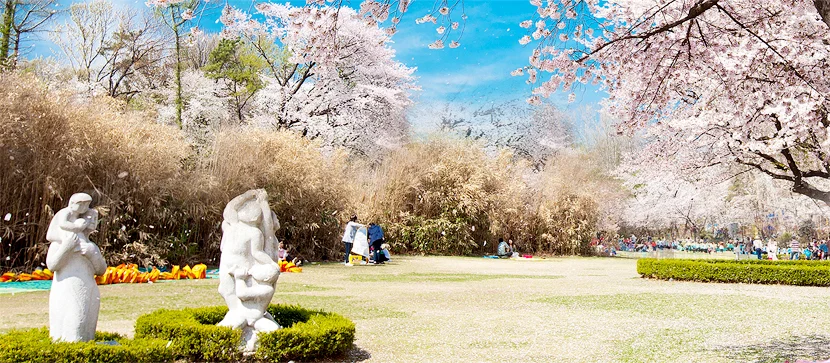 Spring blossoms and gardens at Children’s Grand Park in Seoul