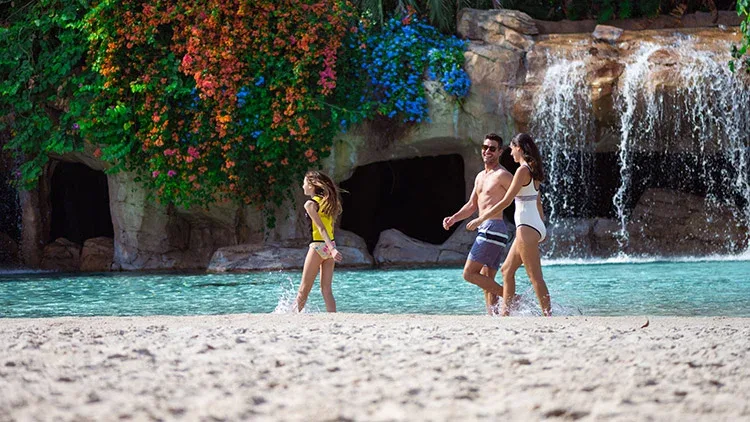 Guests wading beside a waterfall at Discovery Cove