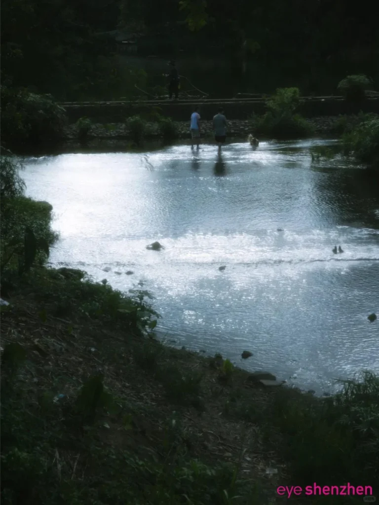 Lake and garden scenery at Donghu Park in Shenzhen