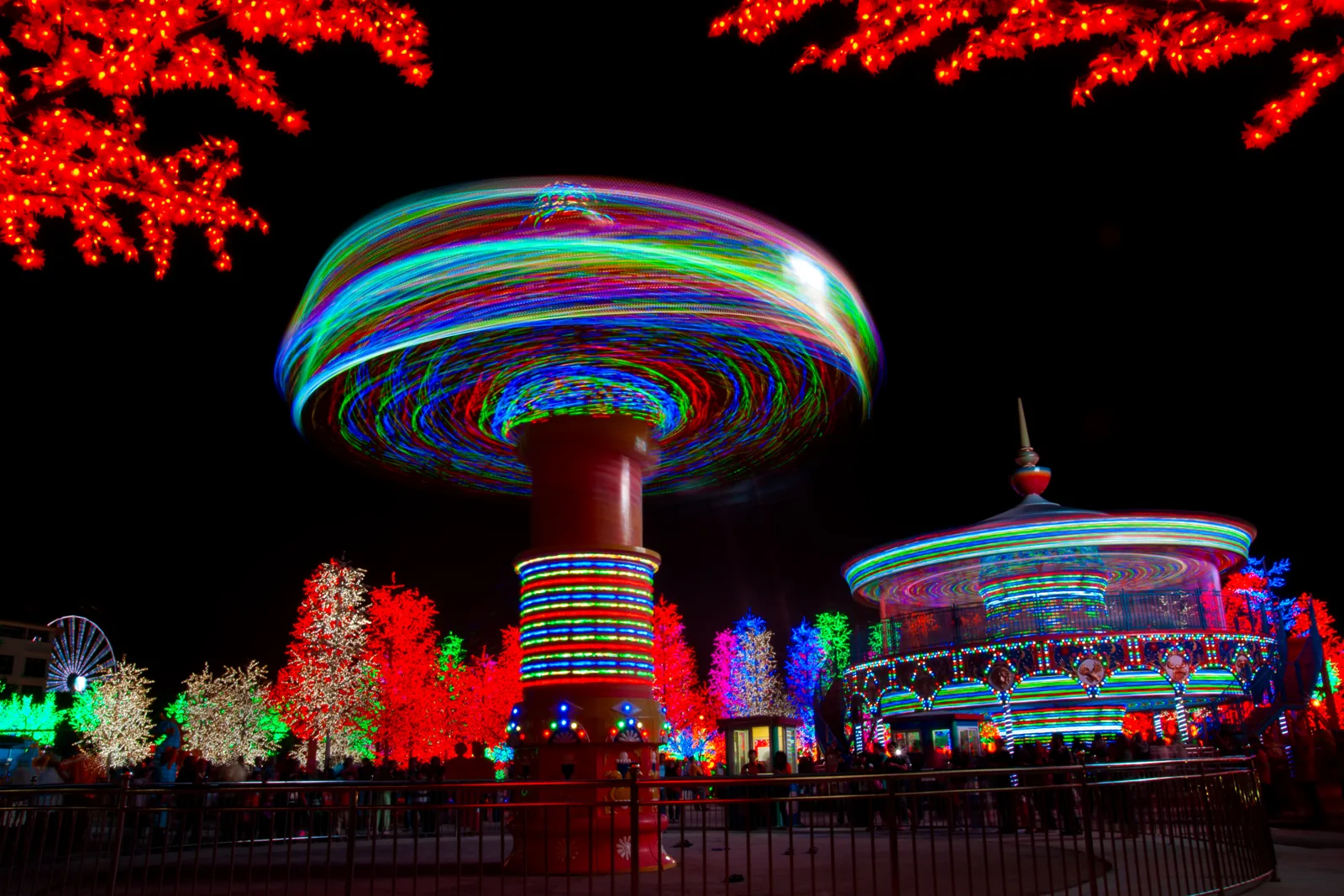 Colorful light trails circle two spinning amusement rides beside trees covered in orange, green, and white lights.