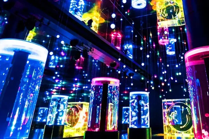 Illuminated jellyfish exhibits at Maxell Aqua Park Shinagawa in Tokyo