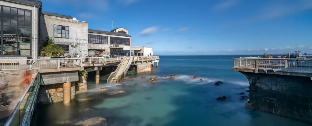 Outdoor walkways at Monterey Bay Aquarium overlook the water and rocky shoreline of Monterey Bay.