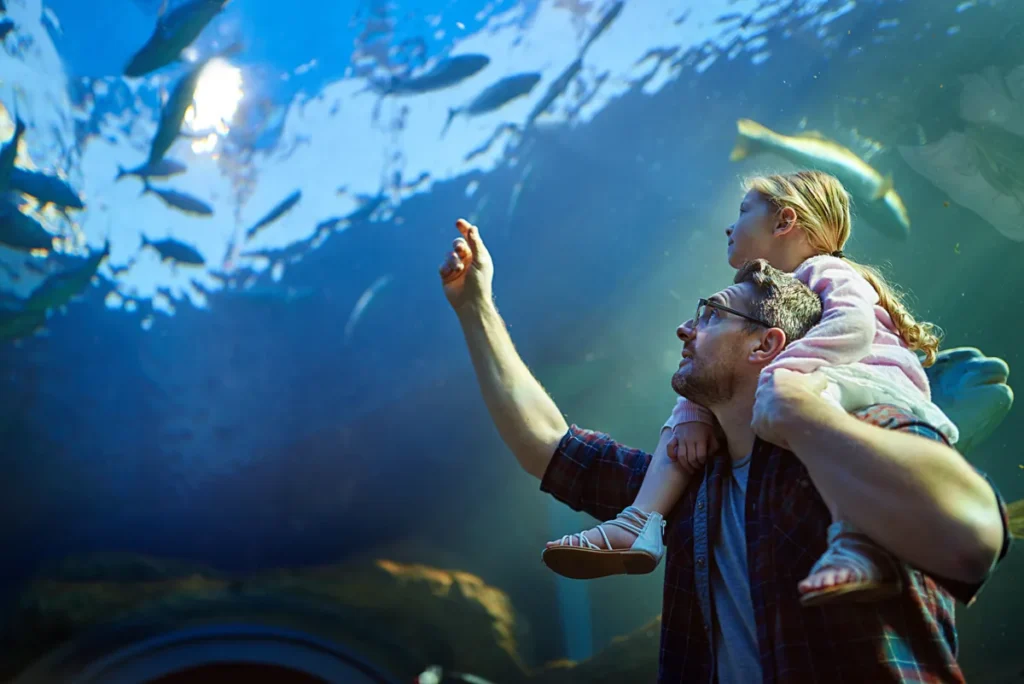 An adult carries a girl on his shoulders while pointing toward fish in a large aquarium tank.