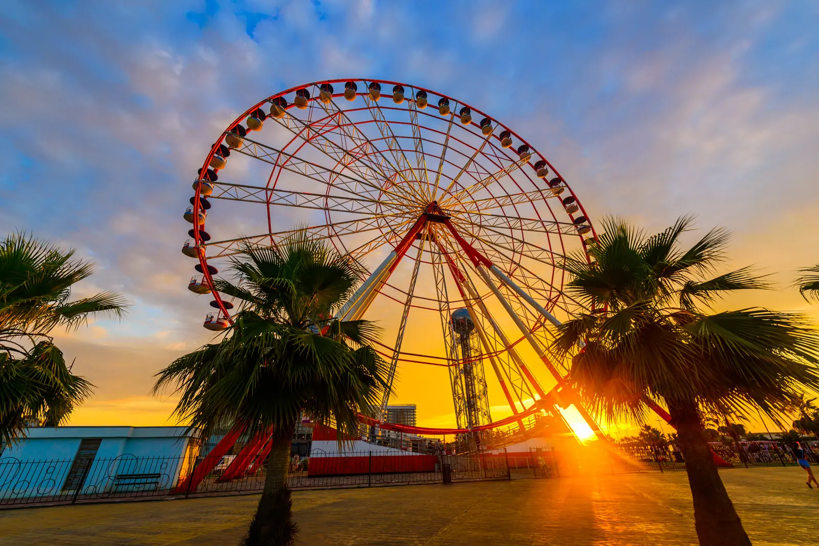 The setting sun shines through a Ferris wheel between palm trees.