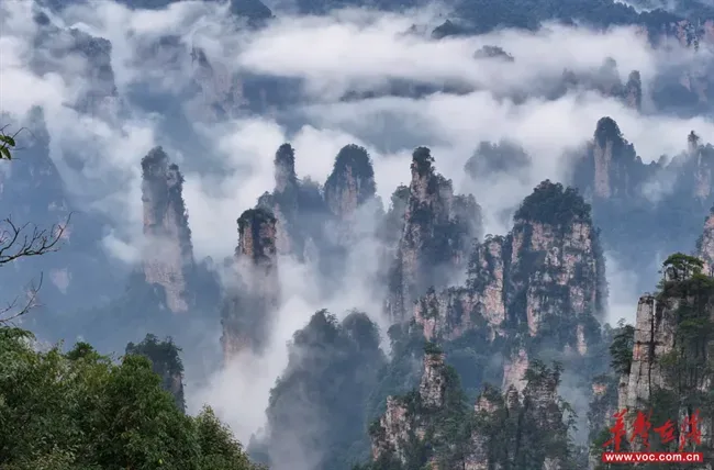 Mist among the sandstone peaks of Tianzi Mountain in Zhangjiajie