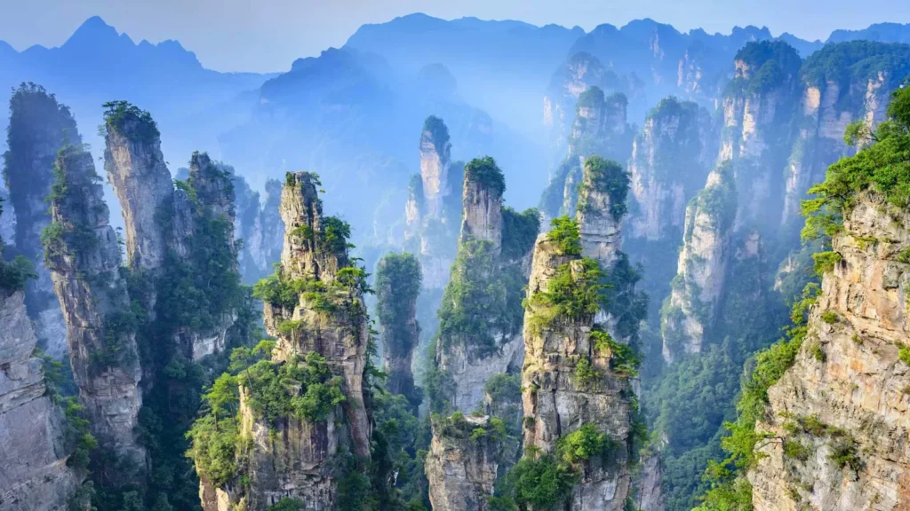 Sandstone pillars and forest in Zhangjiajie National Forest Park