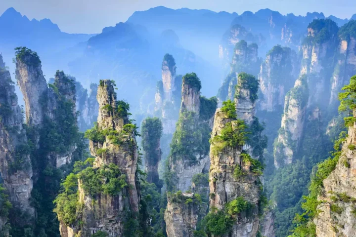 Sandstone pillars and forest in Zhangjiajie National Forest Park